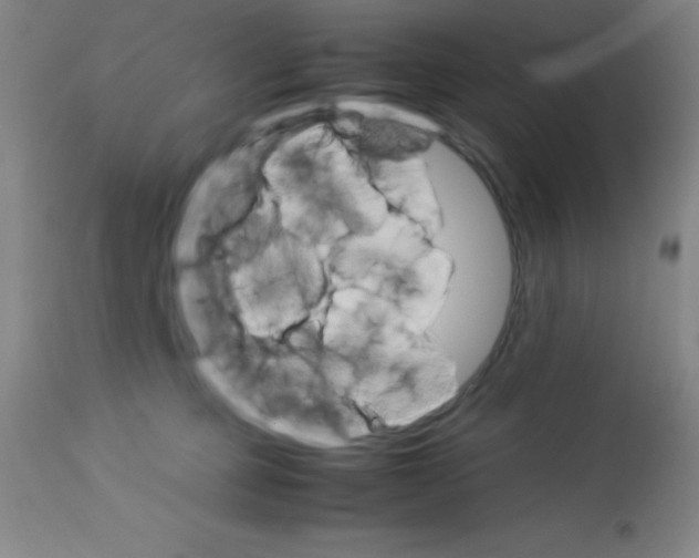 X0000113750373200910211151