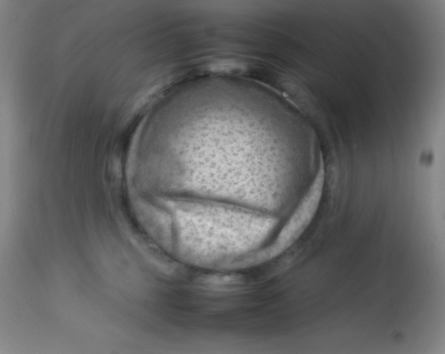 X0000113750375200910211151