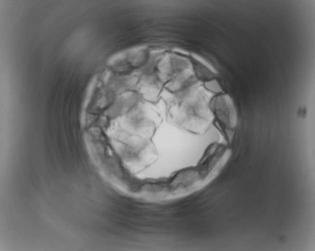 X0000113750377200910211151