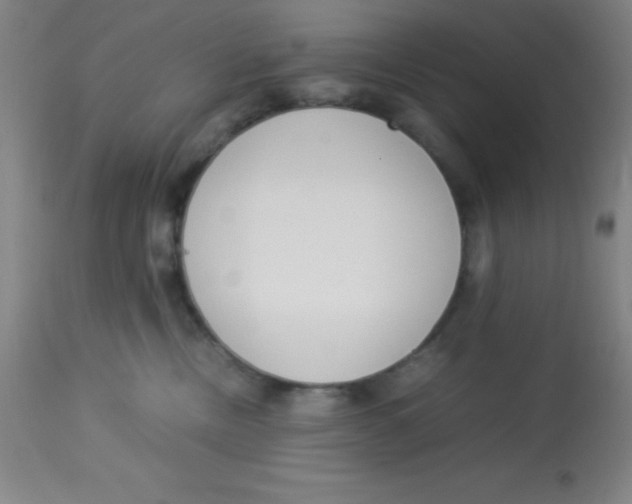 X0000113750378200910211151