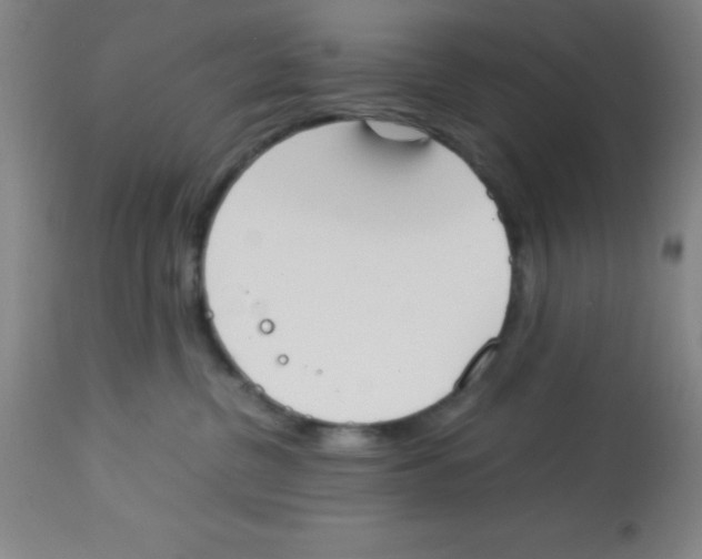 X0000113750380200910211152