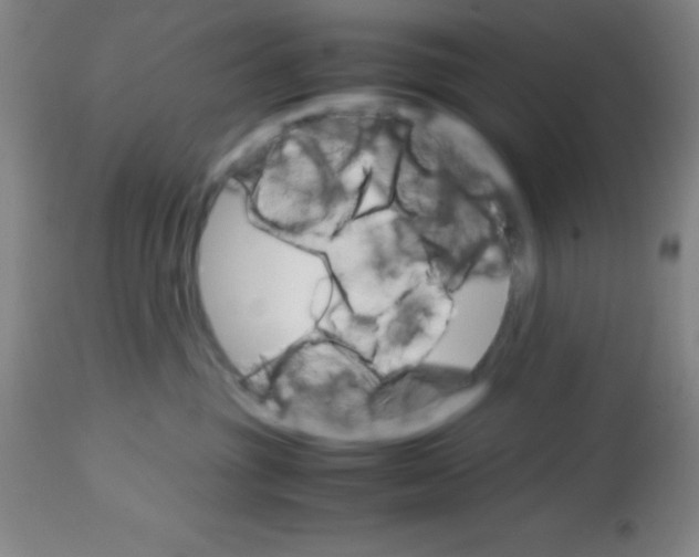 X0000113750381200910211152