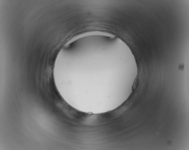 X0000113750382200910211152