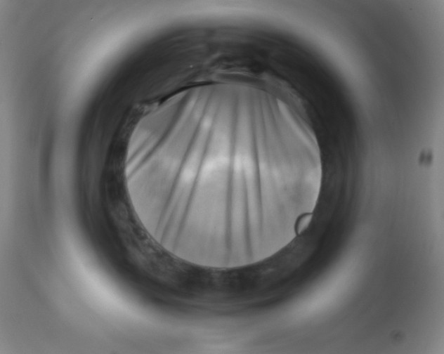 X0000113750383200910211152