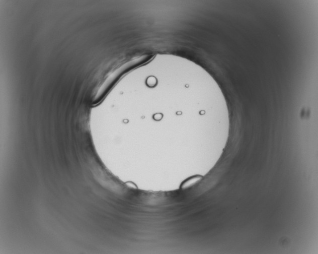 X0000113750384200910211152