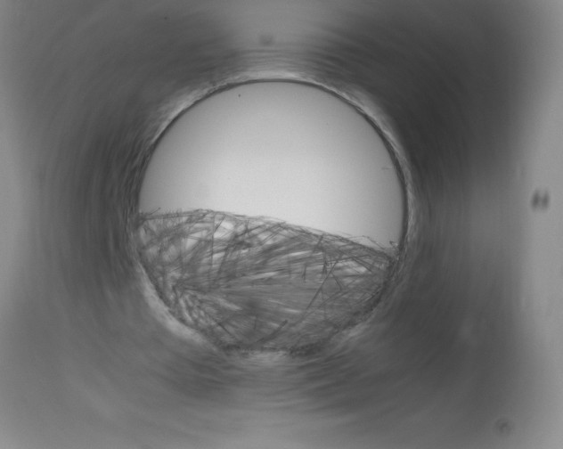 X0000113750385200910211151