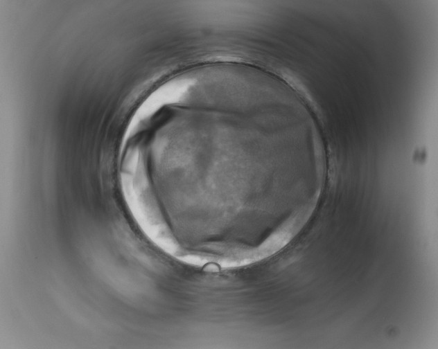 X0000113750386200910211151