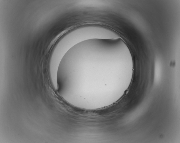 X0000113750387200910211151