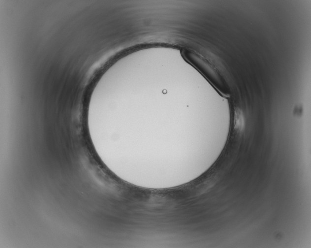 X0000113750388200910211151