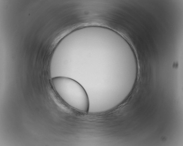 X0000113750389200910211151