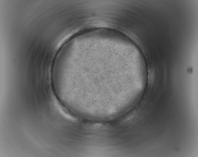 X0000113750390200910211151