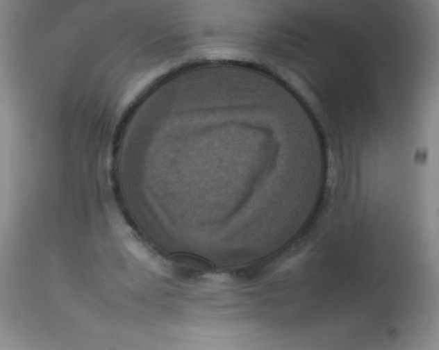 X0000113750391200910211151