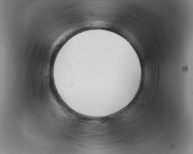 X0000113750392200910211151