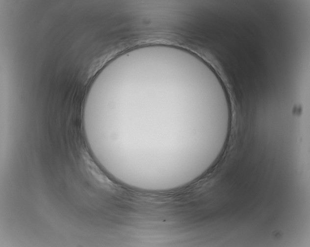 X0000113750393200910211151