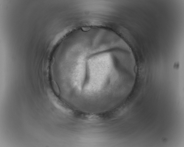 X0000113750395200910211151