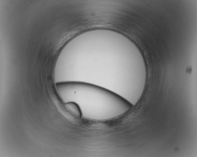 X0000113750397200910211151