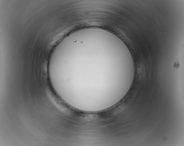 X0000113750398200910211151