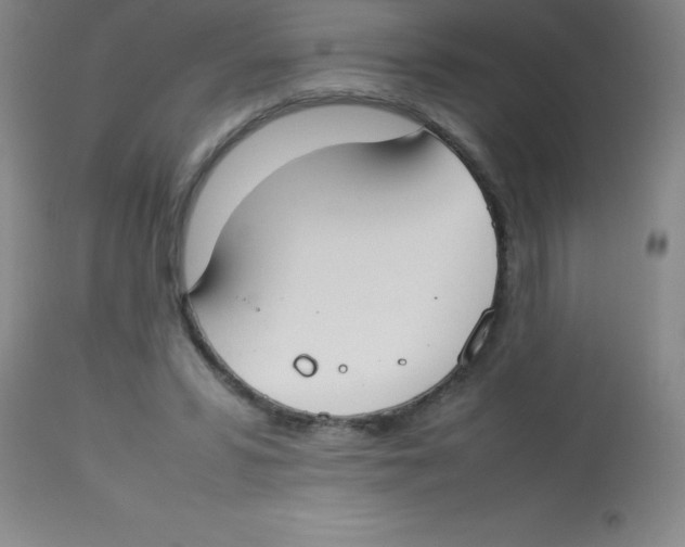 X0000113750399200910211151