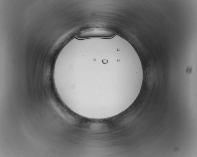 X0000113750400200910211151