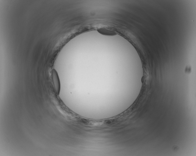 X0000113750401200910211151