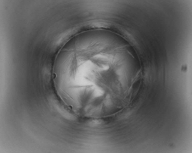 X0000113750402200910211151