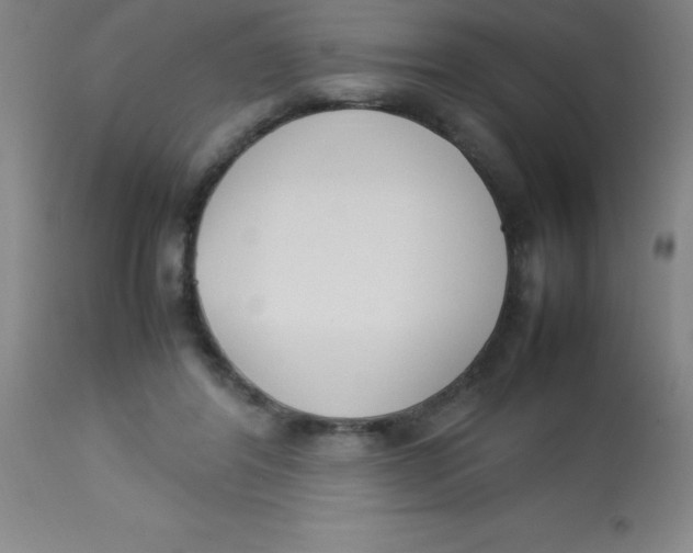 X0000113750404200910211151