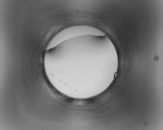 X0000113750407200910211151