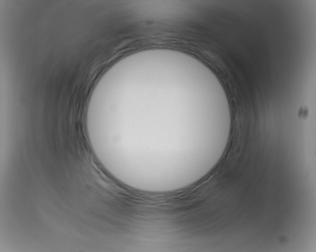 X0000113750409200910211151