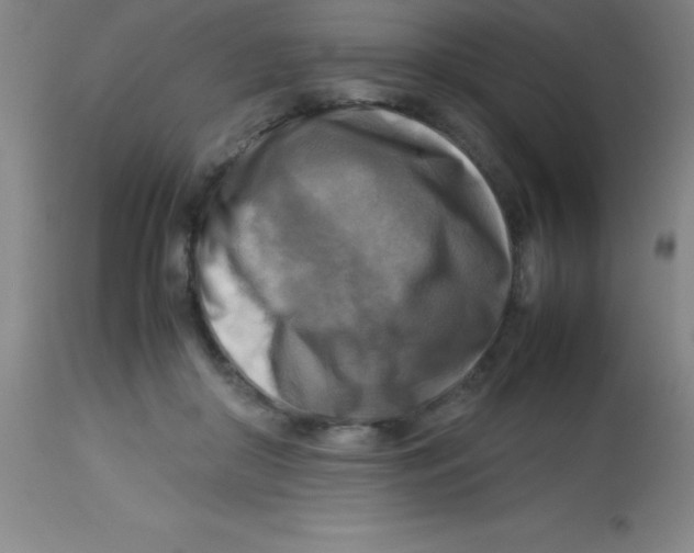 X0000113750410200910211151