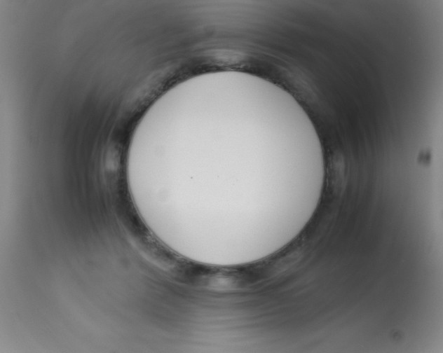 X0000113750412200910211151