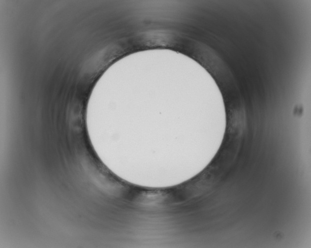 X0000113750414200910211151