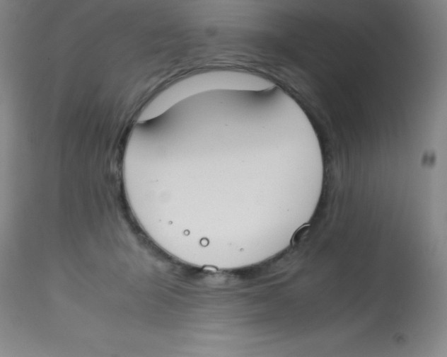 X0000113750415200910211150