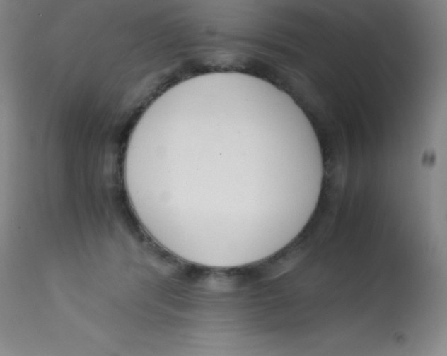 X0000113750416200910211150