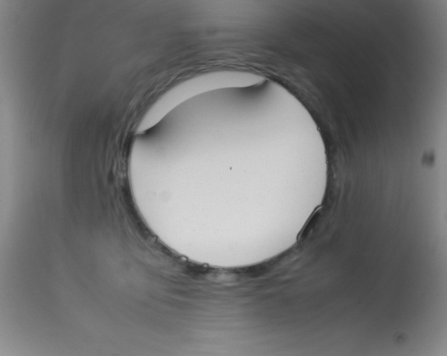 X0000113750419200910211150