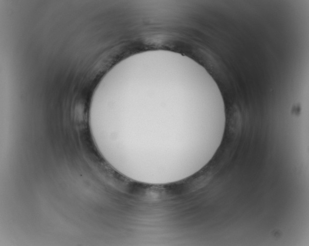 X0000113750420200910211150