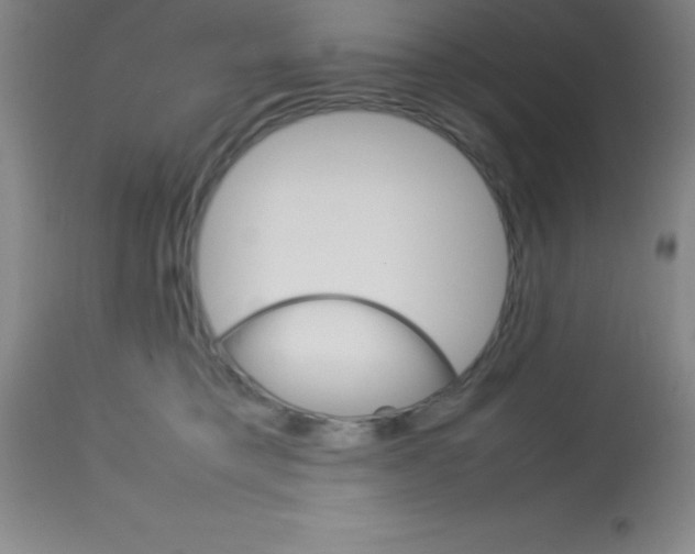 X0000113750421200910211150