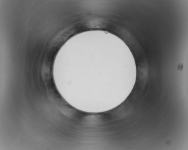 X0000113750422200910211150