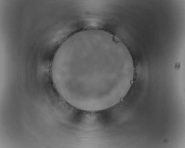 X0000113750423200910211150