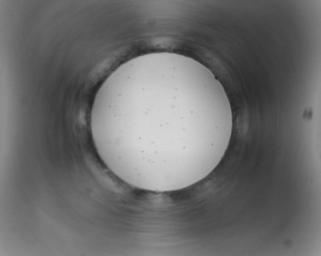 X0000113750424200910211150