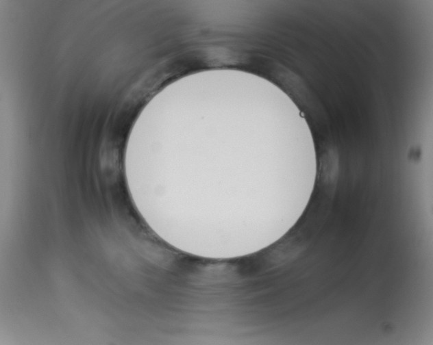 X0000113750426200910211150