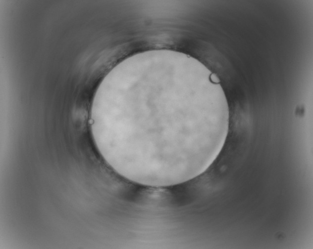 X0000113750427200910211150