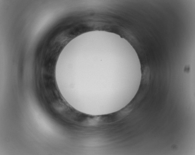 X0000113750430200910211150