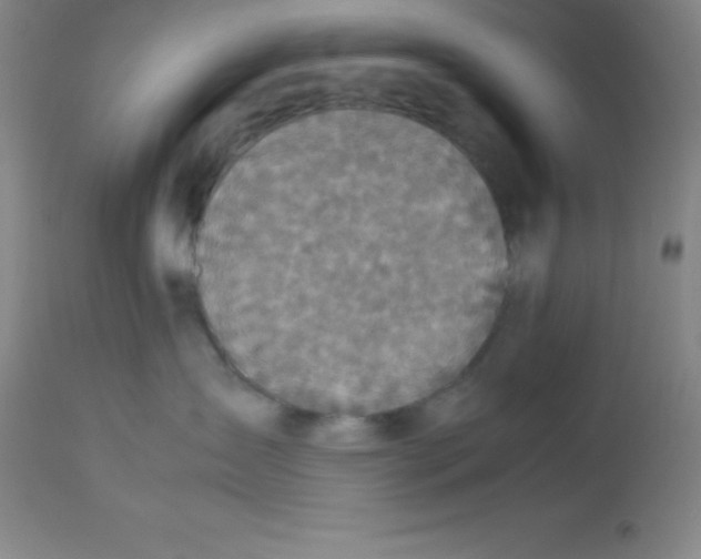 X0000113750431200910211150