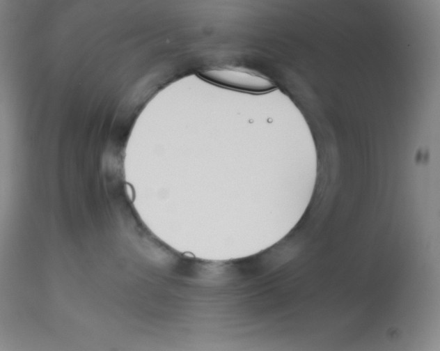 X0000113750432200910211150