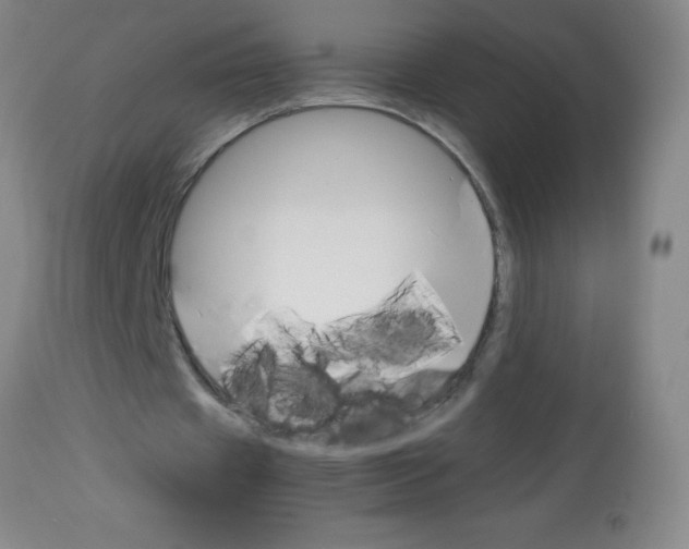 X0000113750433200910211150