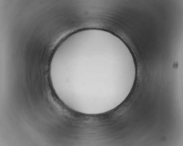 X0000113750434200910211150