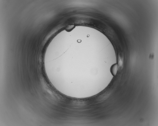 X0000113750435200910211150