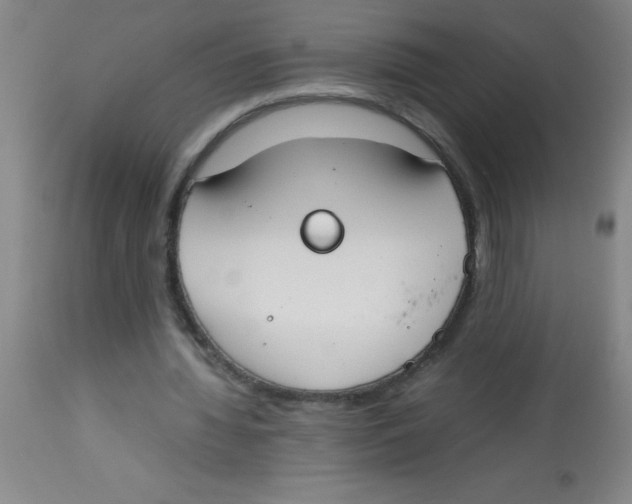 X0000113750436200910211150