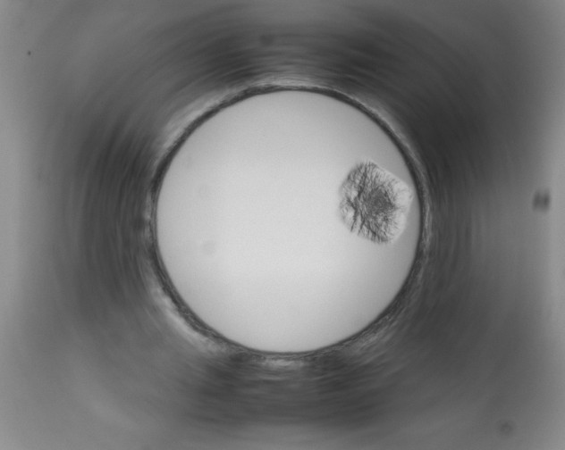 X0000113750437200910211150