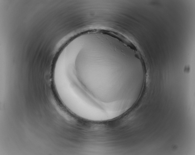 X0000113750438200910211150